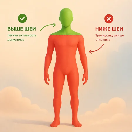 тренировка если болеешь тренировка если болеешь