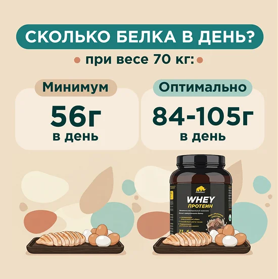 протеин простыми словами