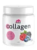 COLLAGEN WILD BERRIES (Лесные ягоды), 200 г